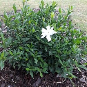 Meet your Posher, Barb